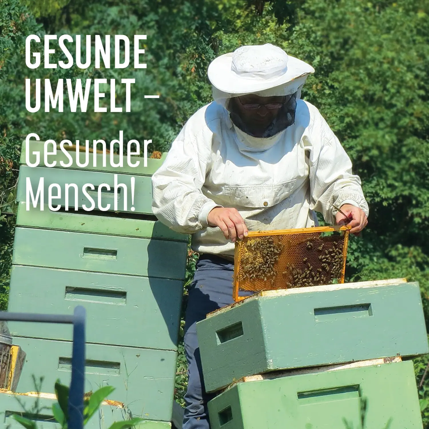 Gesunde umwelt von HHK Hanseatic Honey Accounting GmbH